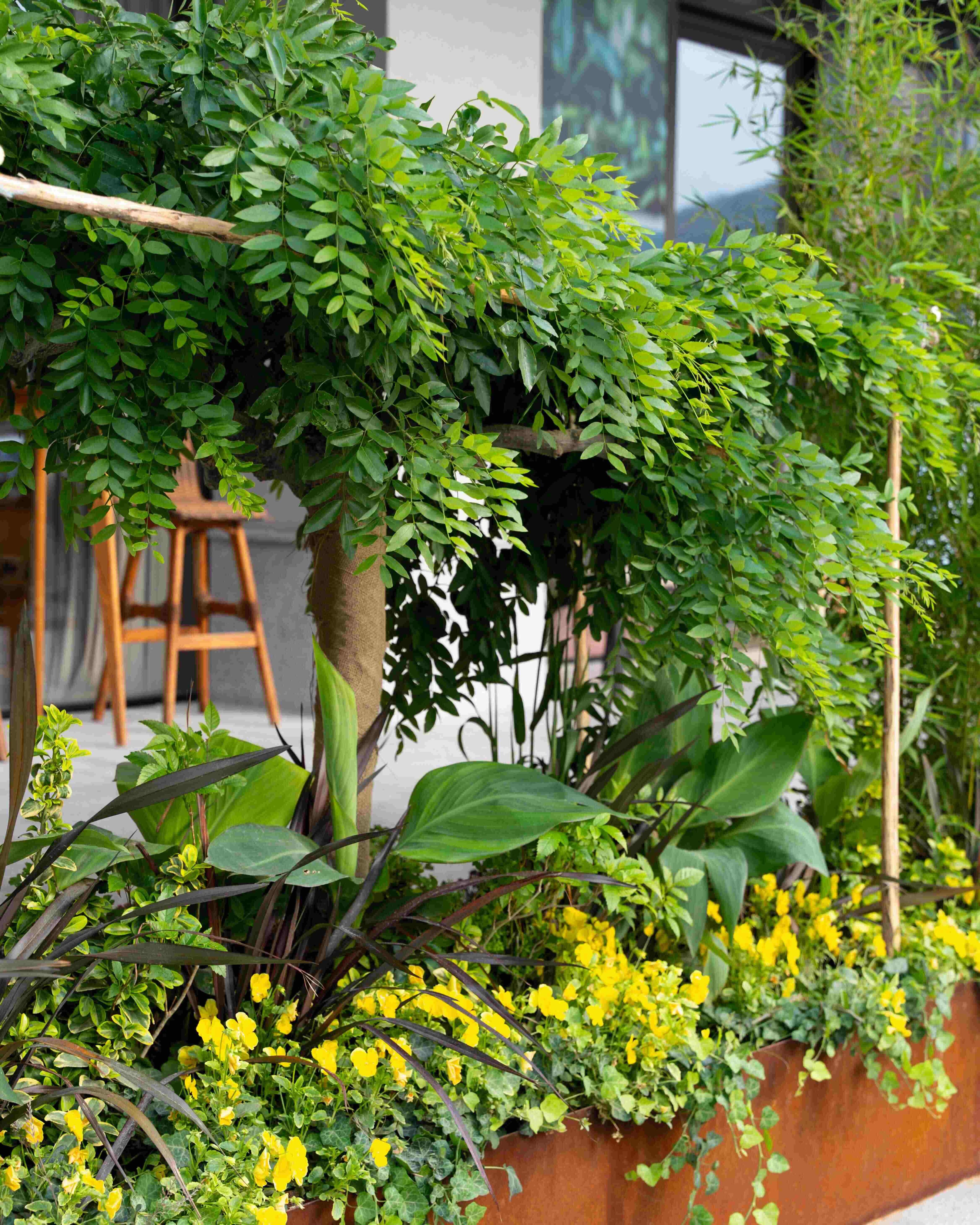 Greenery image